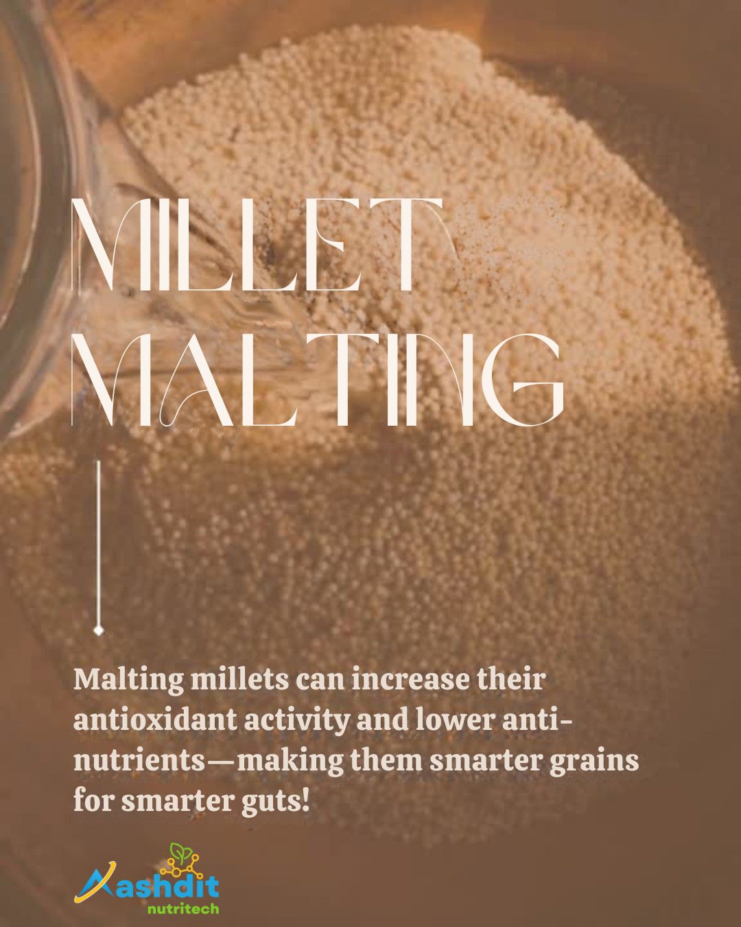 Malting :Powering the Millets for Functional beverages